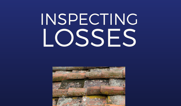 Inspector II Inspecting Losses